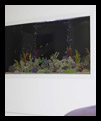 Bespoke fish tank